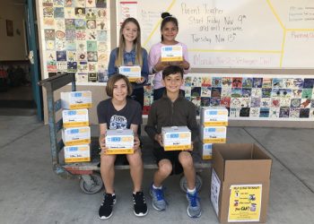 City’s preliminary plans underway to improve Capehart Dog Park in PB