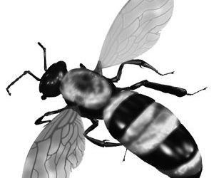 ACLU files suit over free speech issue at LJHS