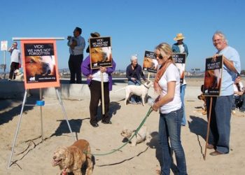 Pooch power, revenge against Michael Vick?