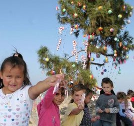 The History of Cement:One Man's Experience with City Hall