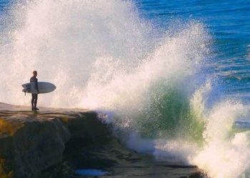 Owner of PB medical marijuana dispensary pleads guilty