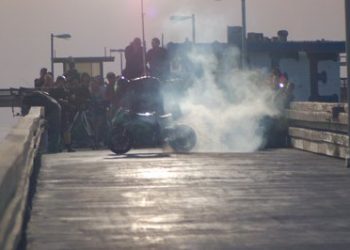 Snail bait poses deadly danger to pets