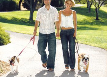 Some dogs are from heaven