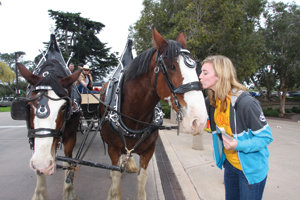 Uncovering The Grande Colonial’s haunted history