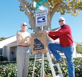 GRAY WHALE JOURNEY: CHOREOGRAPHY AT SEA