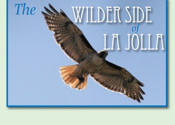 ‘Nightingale’ crew responds to criticism over casting