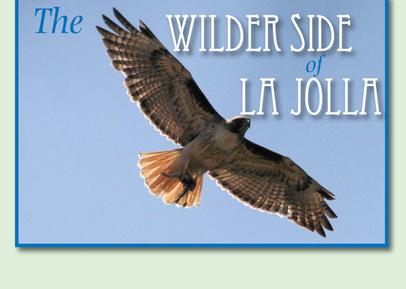 La Jolla photo gallery