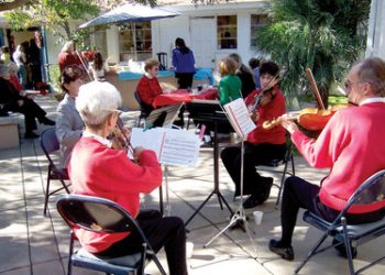 Council OKs permits designed to put brakes on mini-dorms