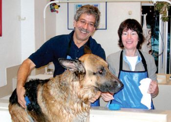 Pointers stumble but clinch title