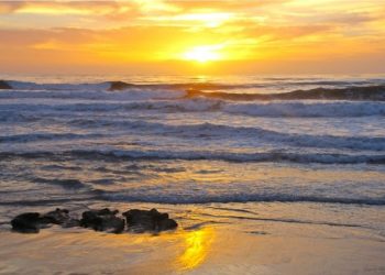 View from 52: Officers in UC take public involvemen to hear