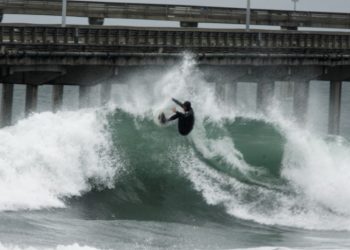 Harbor Police find stolen bikes and other surprises