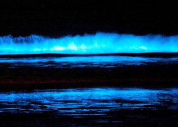 PL Cluster Schools Foundation: at the eye of the storm