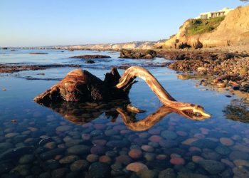 View from 52: Officers in UC take public involvemen to hear