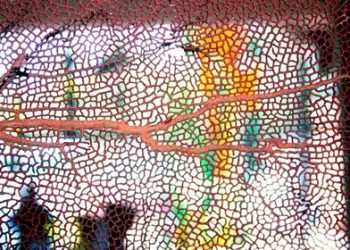 Rough water entices again