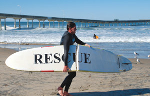Bring home the veggies: Local farms help you connect to land