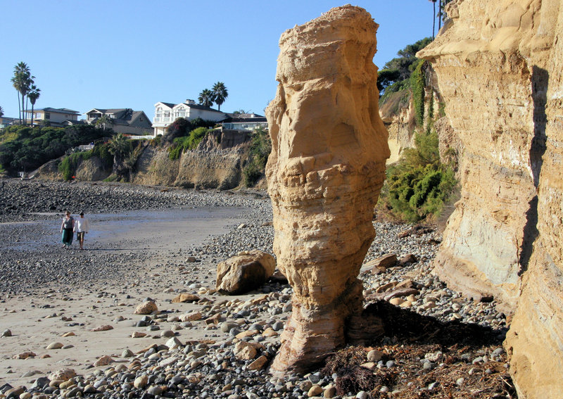 Nature's small wonders ... or perhaps not so small