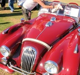 Return of rockabilly