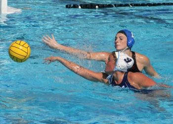 Youngster chops hair for charity