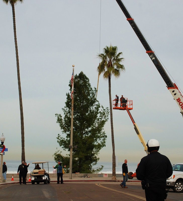 Community tree arrives to set stage for the holidays