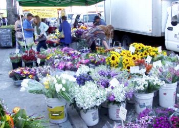 Air Force vet receives five years in Pacific Beach man's La Jolla traffic death