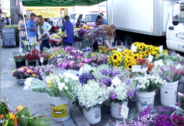 Terry's Travels at Ocean Beach Farmers Market