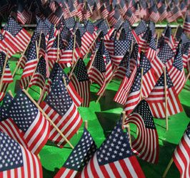 Future of Art: Digital