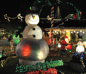 THE SEASON IN SNAPSHOTS