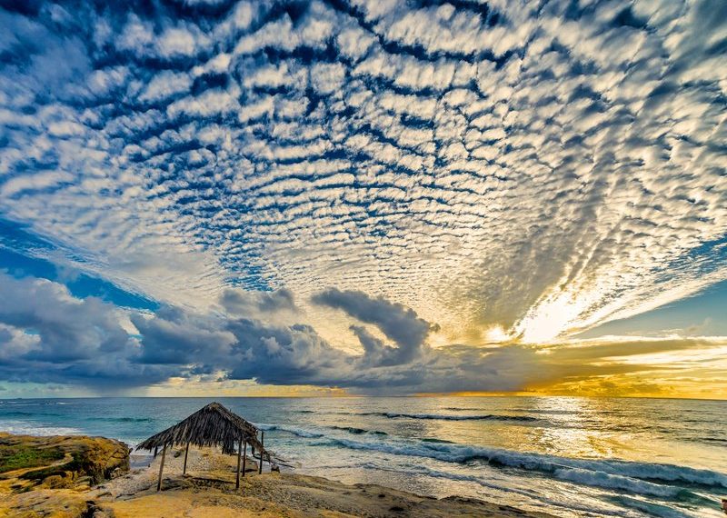 WINDANSEA IS IN ITS ELEMENT