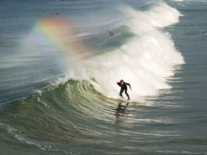 SDMA to spotlight the cream of music crop at Humphrey’s