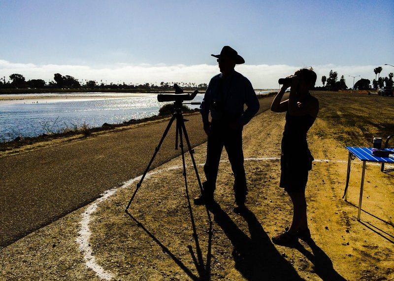 Documenting waterfowl during the San Diego Bird Festival