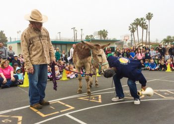 San Diego Small Businesses support paid Family and Medical Leave Bill