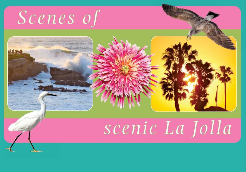 Scenes of scenic La Jolla