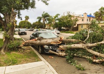 Johnston receives 'Service to Sports' award