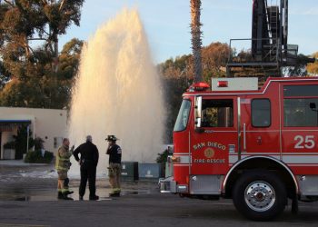 Score it big with half-price admission to area museums