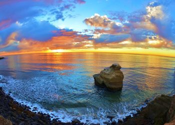 A bevy of twilight beauty