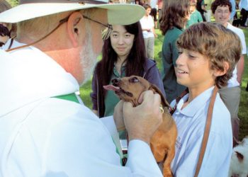 THUNDER WANTS TO BOLT!