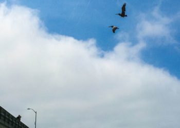 Brazilian flavors and smiles at Val’s Coffee Corner