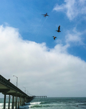 FAA community outreach session on Oct. 27