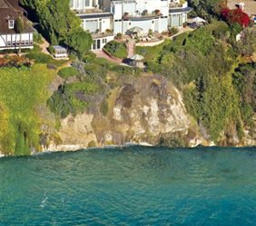 Vines that yield a sweet reward