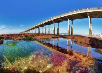 San Diego County price of gas at lowest level since '09