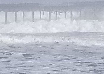 Hundreds of County employees to help count the homeless population