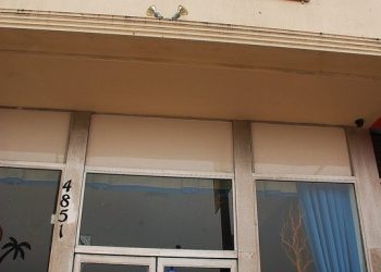 OB ‘Skateboard Bandit’ handed four-year sentence