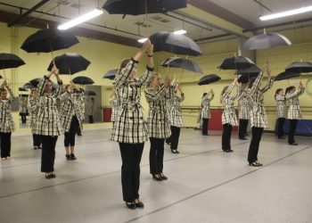 Noisy, but beautifully exotic wild parrots call San Diego home