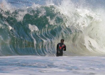 Voice of La Jolla news briefs: Kellogg Park comfort station