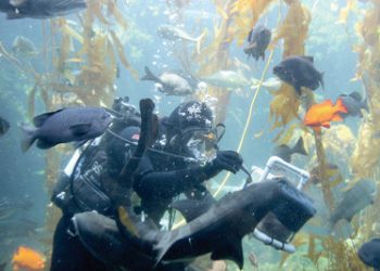 Colorful patterns on display