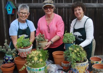 Pacific to Plate' legislation aims to bring more fresh fish to San Diego tables