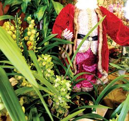 Petition drive started to overturn ban