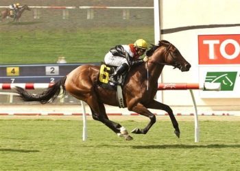 Pointers fired up after 2-game win streak pushes record to 3-1