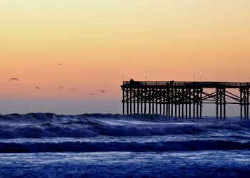 Sand, sun, and summer pet safety tips