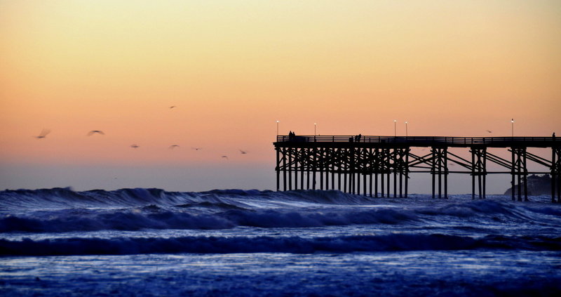 Beach cleanup at Crystal Pier on June 30
